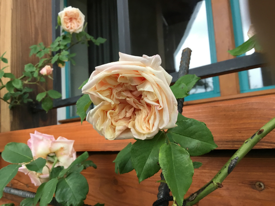 73A7DA63-6CF8-4B4C-977F-BF864D0FCED6