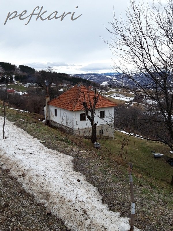 Slika