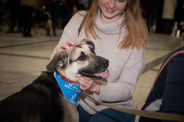 1A71F65D-DD48-4969-864B-2CBED8D2F3BF