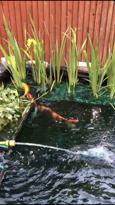 D8BC3C91-90C2-4D49-B2F6-179860842E4B