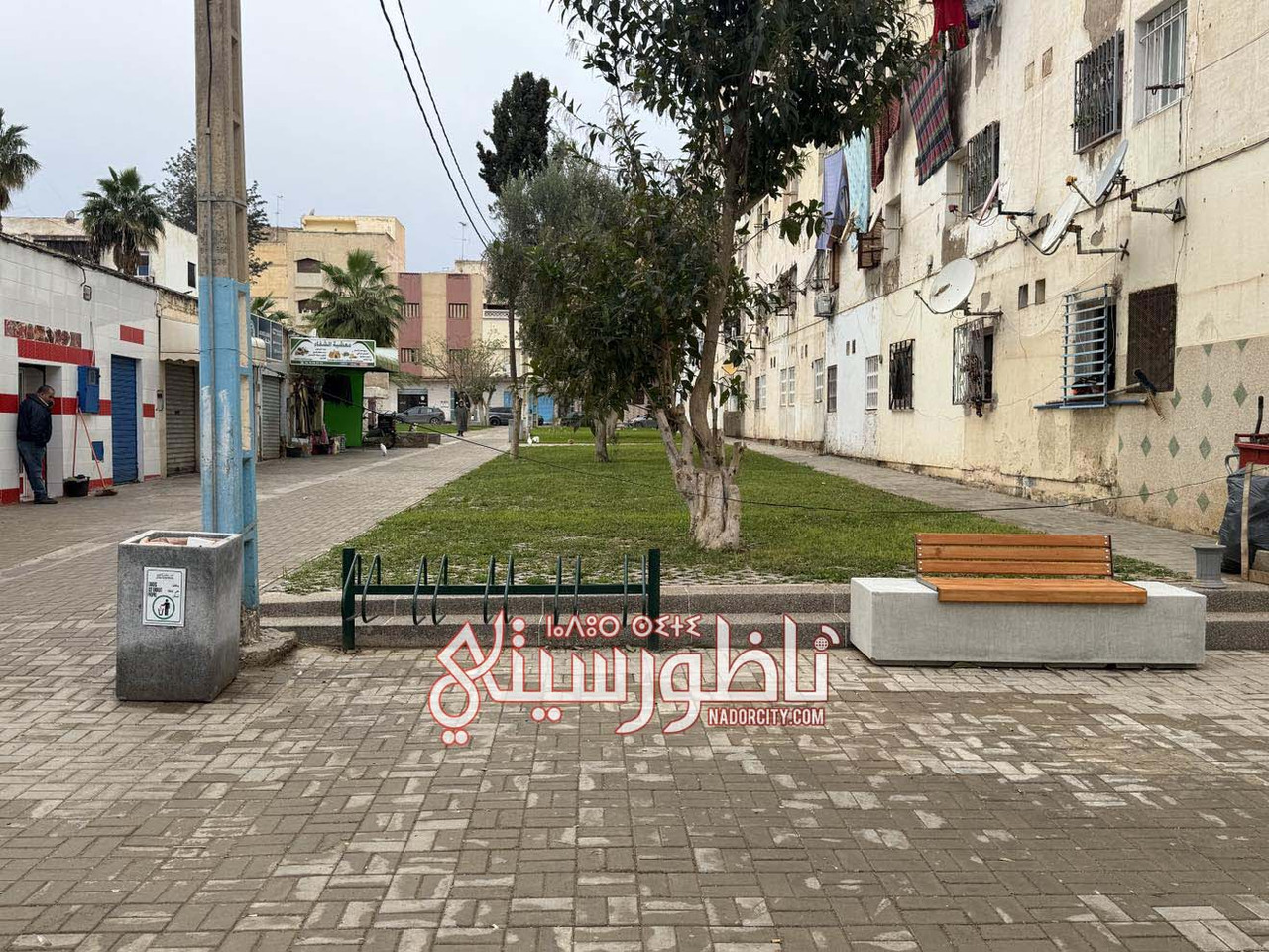 623814940-1611308733337255-8223957495659068355-n