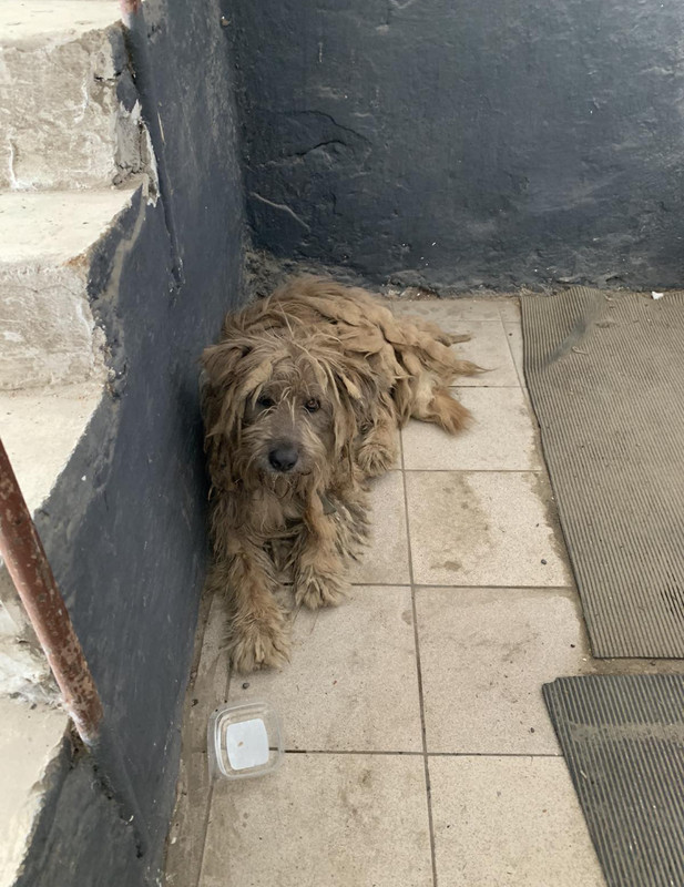 C0C78FA3-F108-498E-B2CA-8B4A0D03F1D2