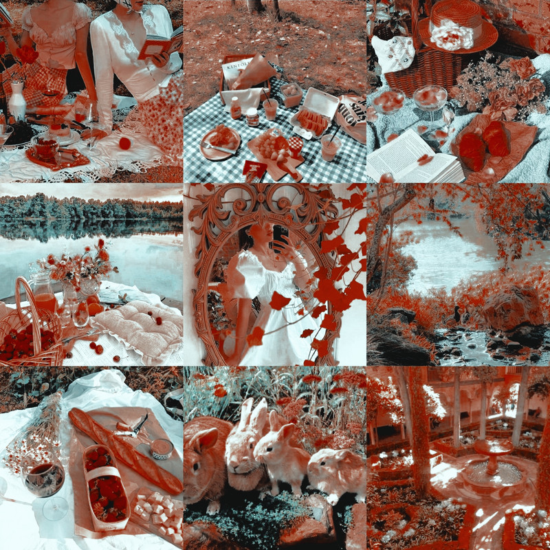 F6B0C766-AE11-4D50-8009-CCA0CD52EEEF