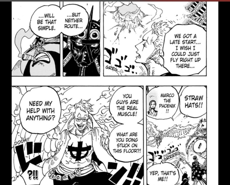 Future Events - How do you think Zoro vs King will happen? | Worstgen