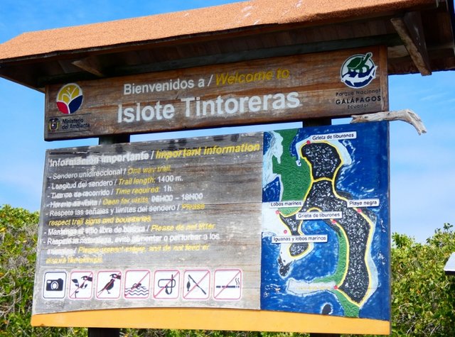 Día 10 (28 de junio): Tintoreras - Galápagos 2022 (3)
