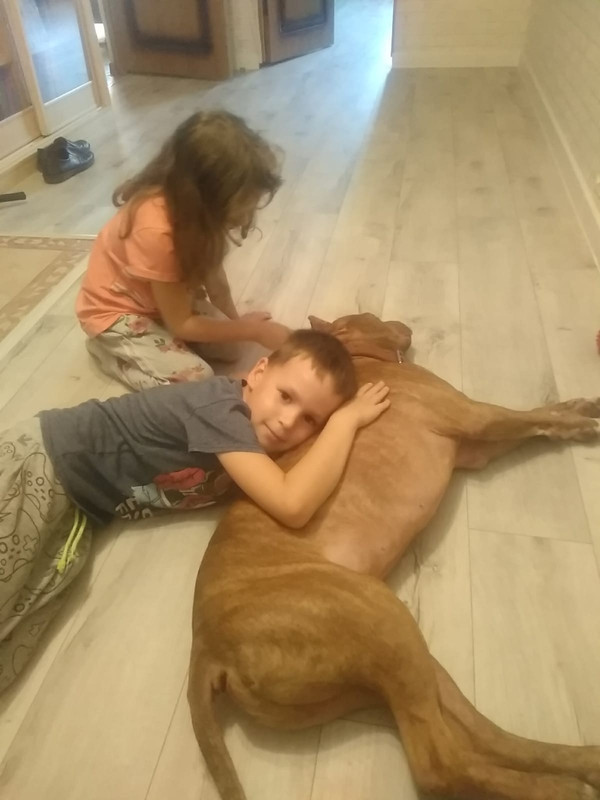 D74DF070-709A-4C71-9DF5-D64F2312F0BC