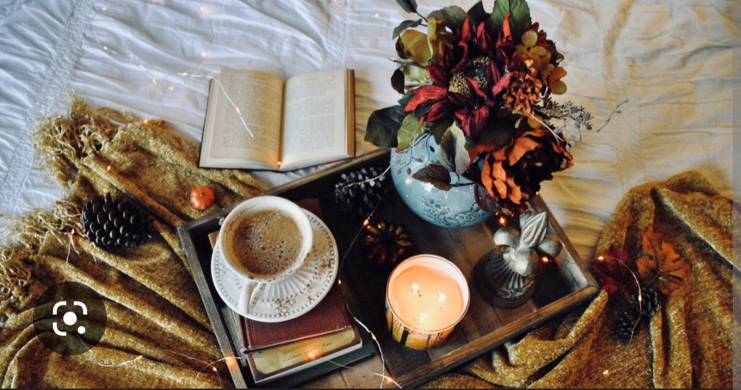 Screenshot_20221126-223241_Chrome