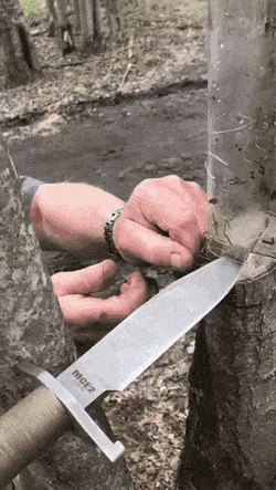 GIFs-16