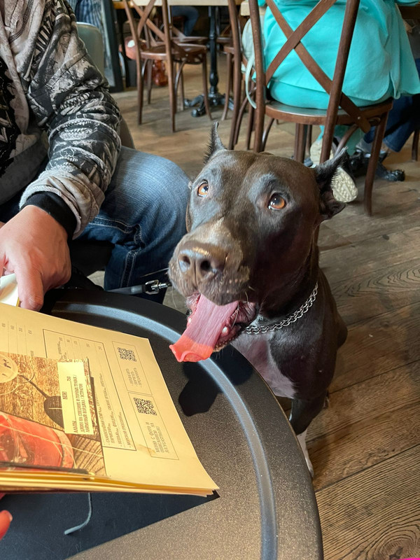 4AA35C2E-2826-4564-8590-A39FFAF6C716