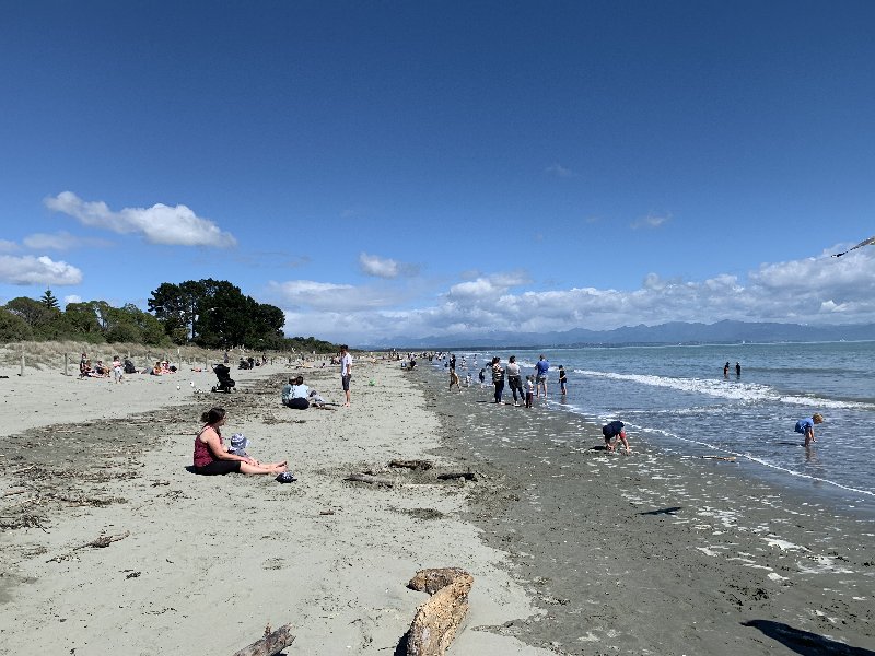 Auckland-Nelson - Nueva Zelanda: La primavera Kiwi nos fue marcando la ruta (1)