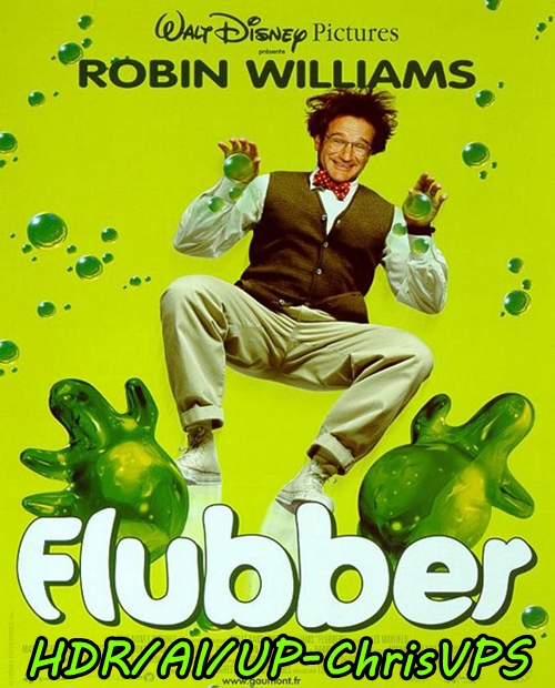 Flubber (1997) MULTI.1080p.WEB.DL.AC3-ChrisVPS / DUBBING i NAPISY