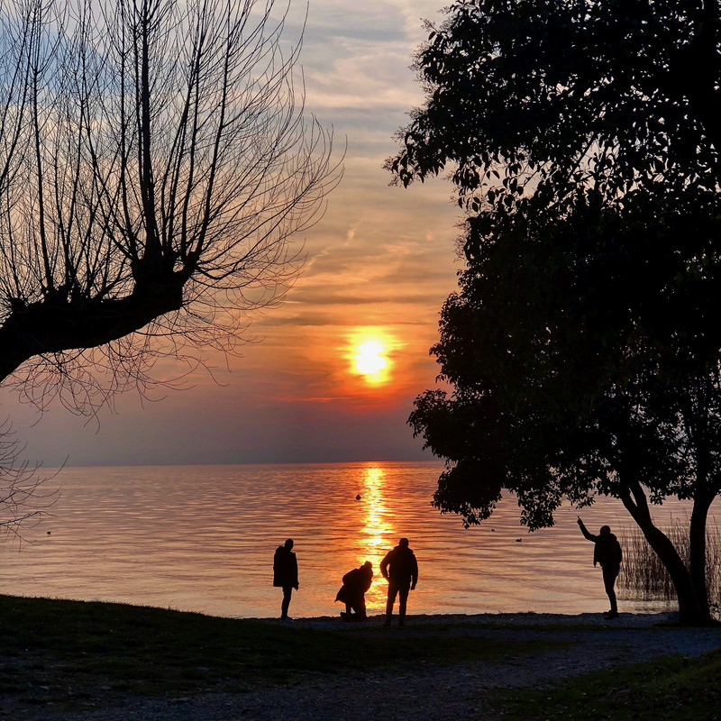 115EDD5B-515A-4588-81CC-5B94AA169D33