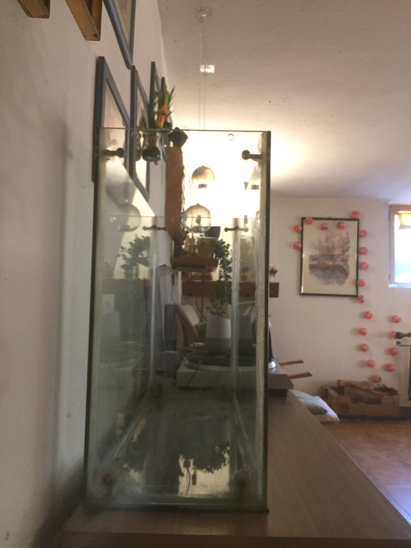 2734AF0B-2EE9-462E-B9DB-5961C3697055