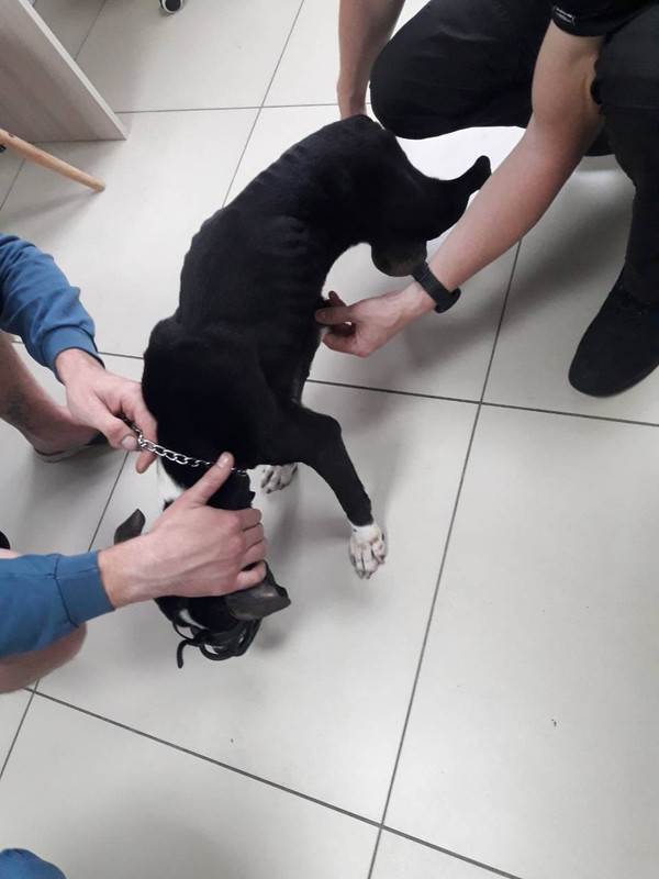 28712D7C-33BF-4C98-B648-633A765F01A6