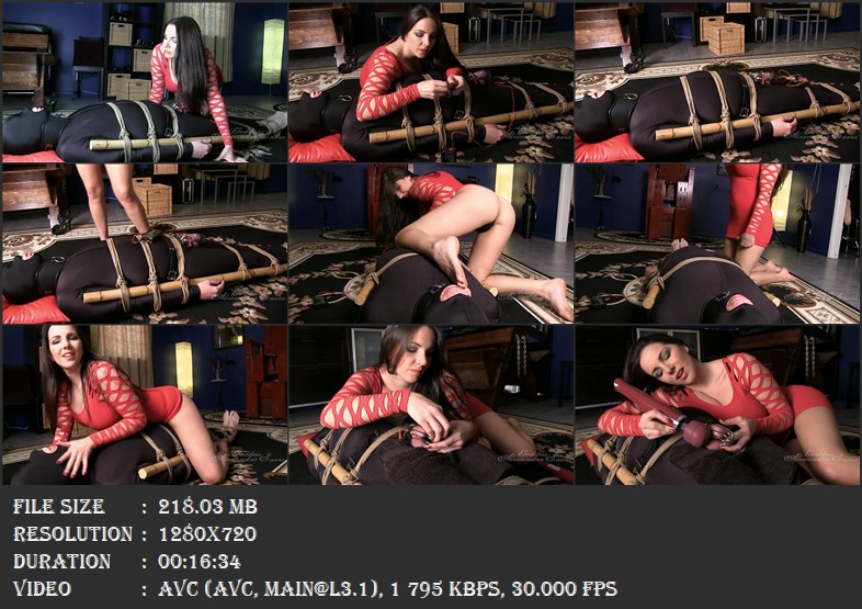 https://i.postimg.cc/zBPZ1pvY/3059-Tease-for-a-Male-Slave-mp4.jpg
