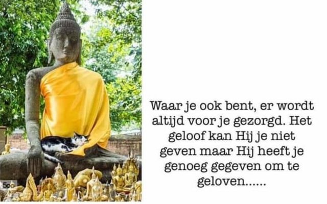 182575699-2878604882392854-8542843414405187586-n