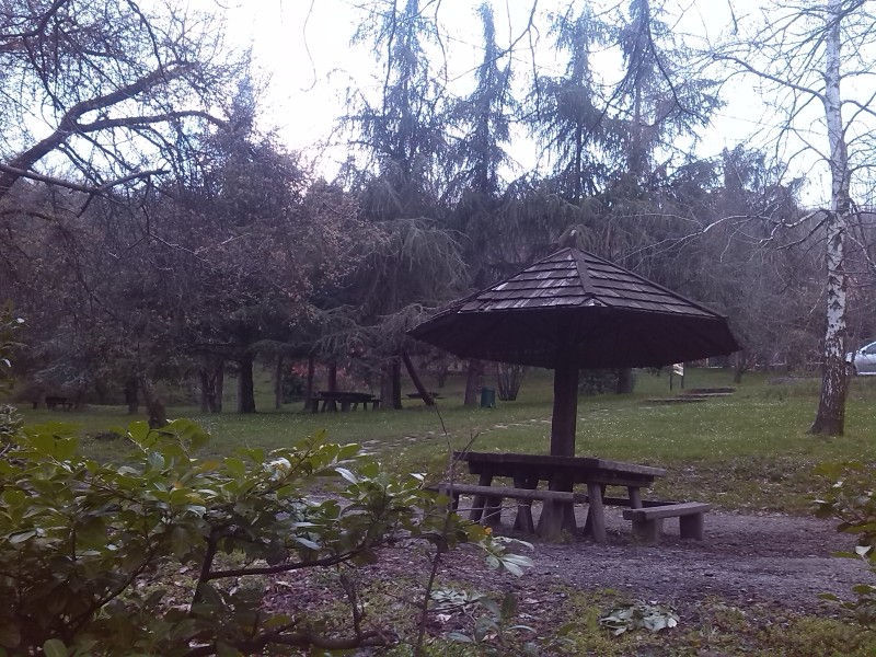 Slika