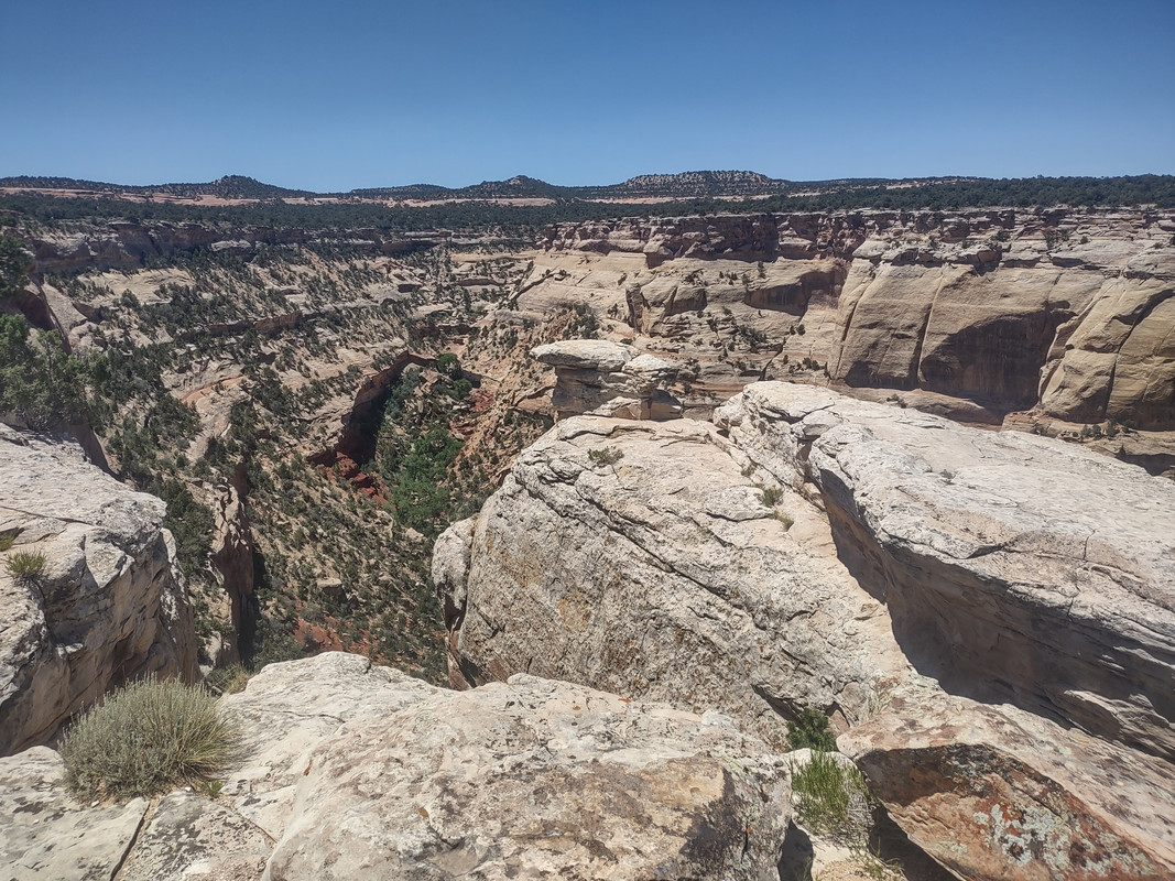 IMG_20250620_125244521_HDR