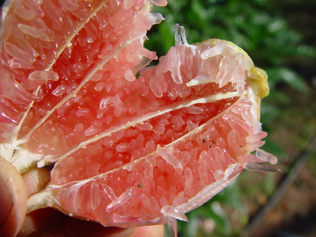 F83057E8-43EC-41CC-AF9D-2763C8F02B62_1_105_c