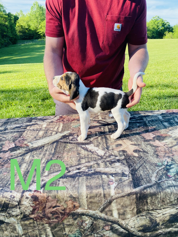 69CE811C-3781-4C1B-9D3E-3140BCA035D6