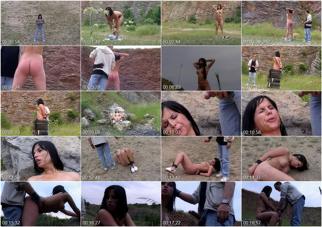 bfck_4399.wmv