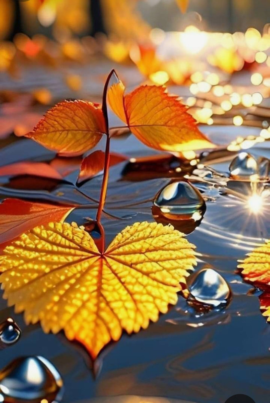 Screenshot_20231127_214227_Pinterest