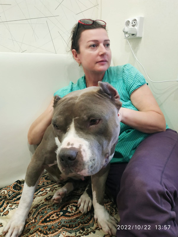 BEC12830-3A12-4F65-B65E-743C22437D74