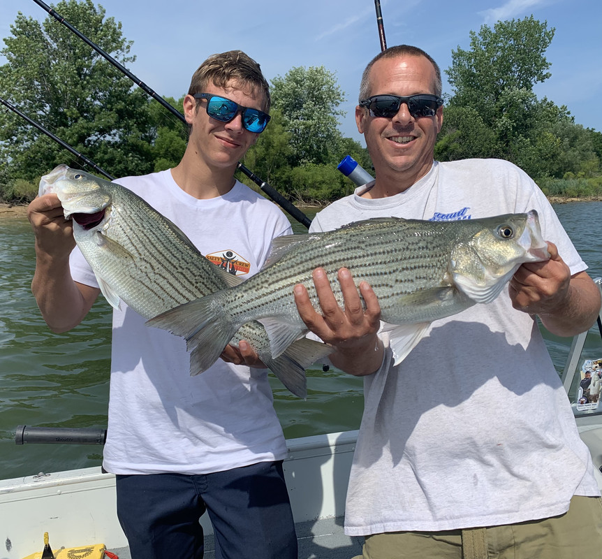 C02E343E-4648-43B8-97EB-EF8B46391855