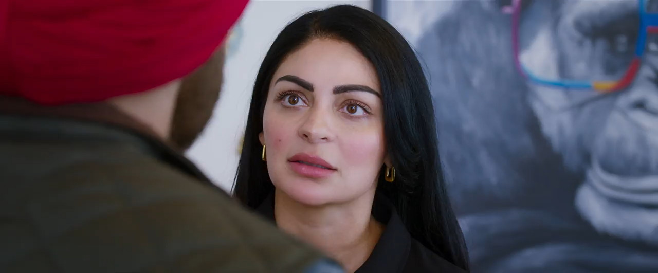 Son of Sardaar 2 2025 WebRip [Hindi] 480p 720p ESub Screenshot