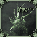 Valkyrie_Angel.gif