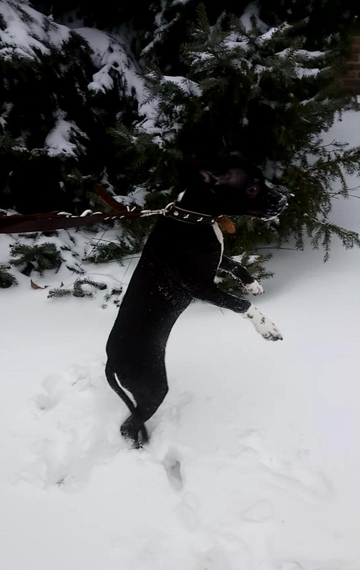 D03332E4-04C0-49FC-A2BB-0A0C31CC6BFB