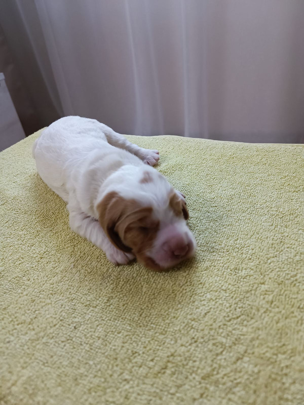 изображение_viber_2025-04-17_14-23-37-371