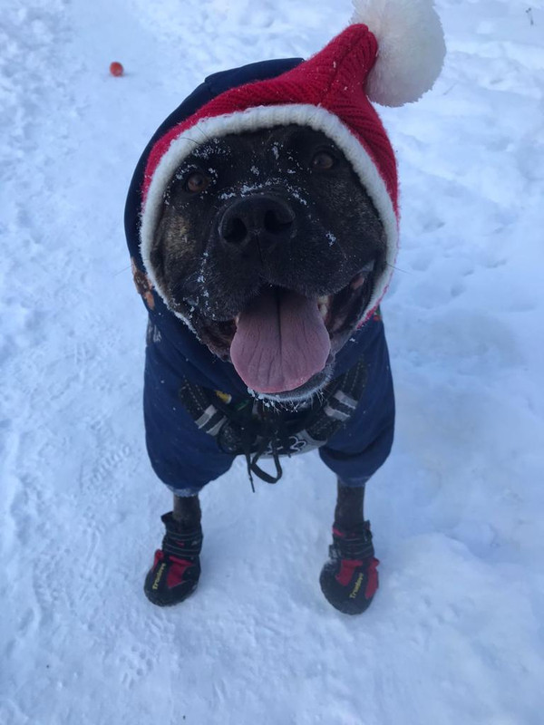 A093B581-2E88-418B-911E-B847C798FFD4