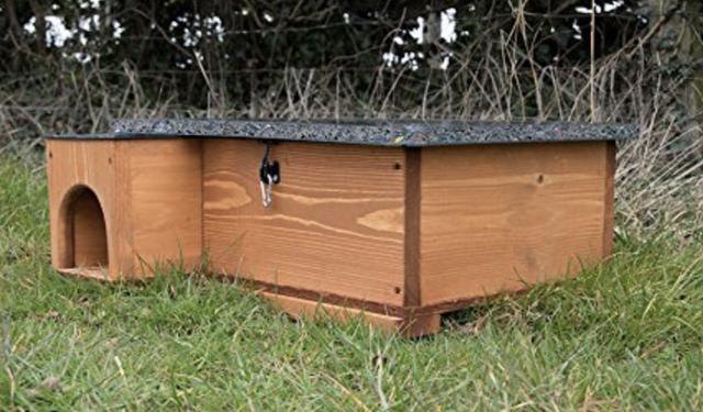 77D2ED94-29E1-4069-9C6A-9999CAE8A23D