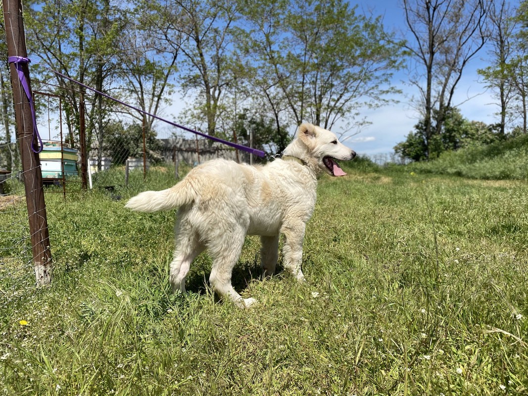 36249D3D-F258-4EE3-84C7-7F23753DD4D1