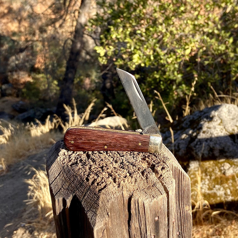 CF04CB53-31EF-4D66-AB24-24B98E41CFC3