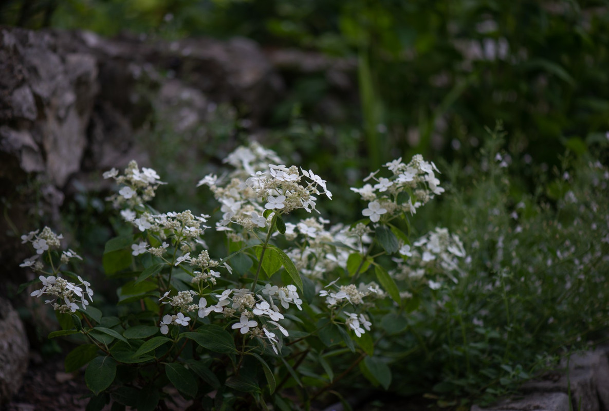 IMG-6621fd5bccc57043eff5747c7d1d38ee-V