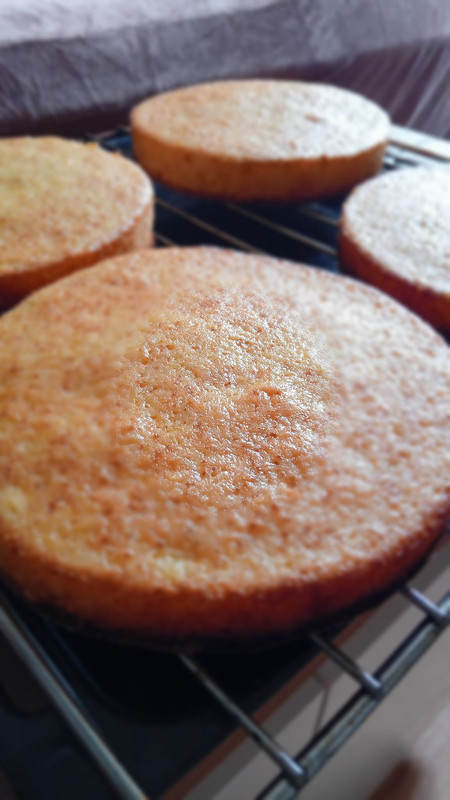 421222371_10228082555026553_4531873872117566262_n