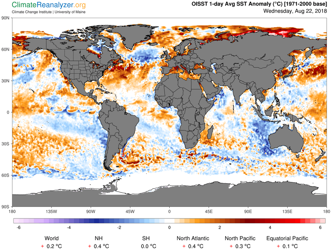 gfs_world-ced_sstanom_1-day
