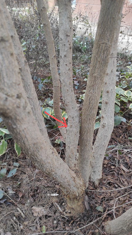 IMG_20250206_150921~2