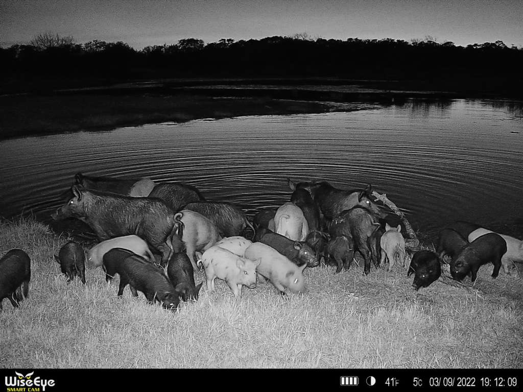 C13E1158-985B-48F7-B34B-C3AA8B785381