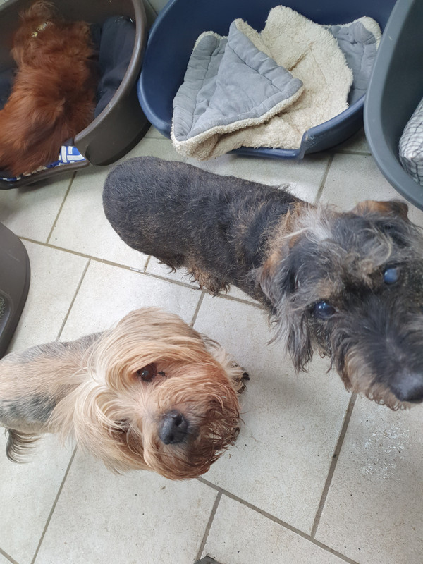 [Image: 20220223-144632.jpg]