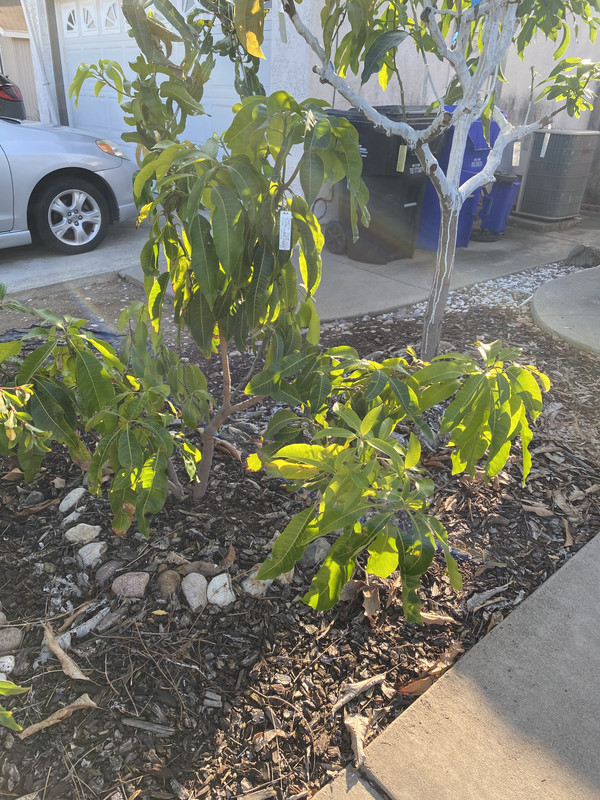 F5738F5A-8726-4D18-B7FA-0CBC8B689647