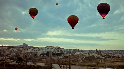 Movie cover image