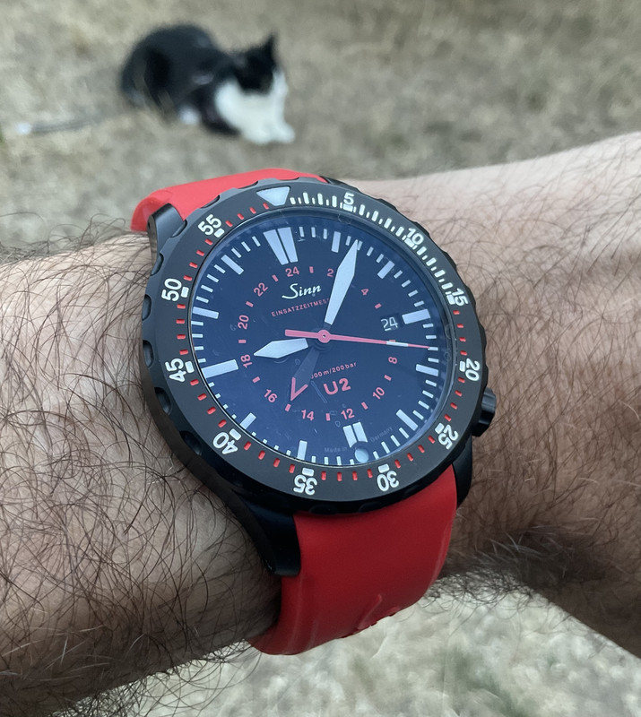 51691DD8-3E43-4DF7-9D7C-982BC607DA4C