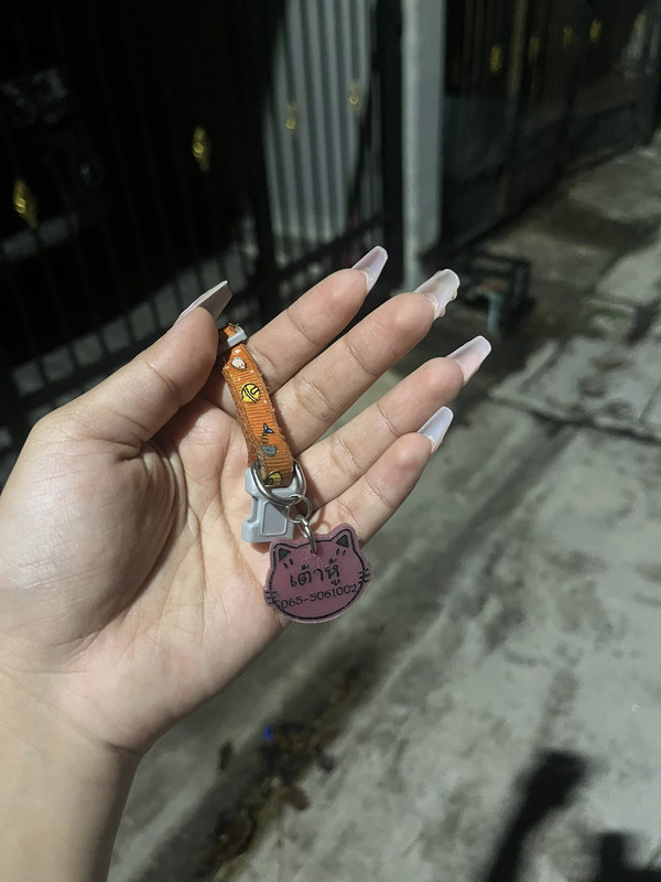 514364876-1890420968205055-7833734949980306953-n