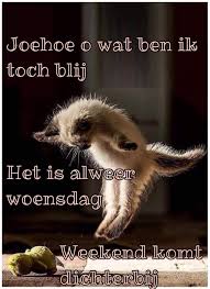 woensdag-3