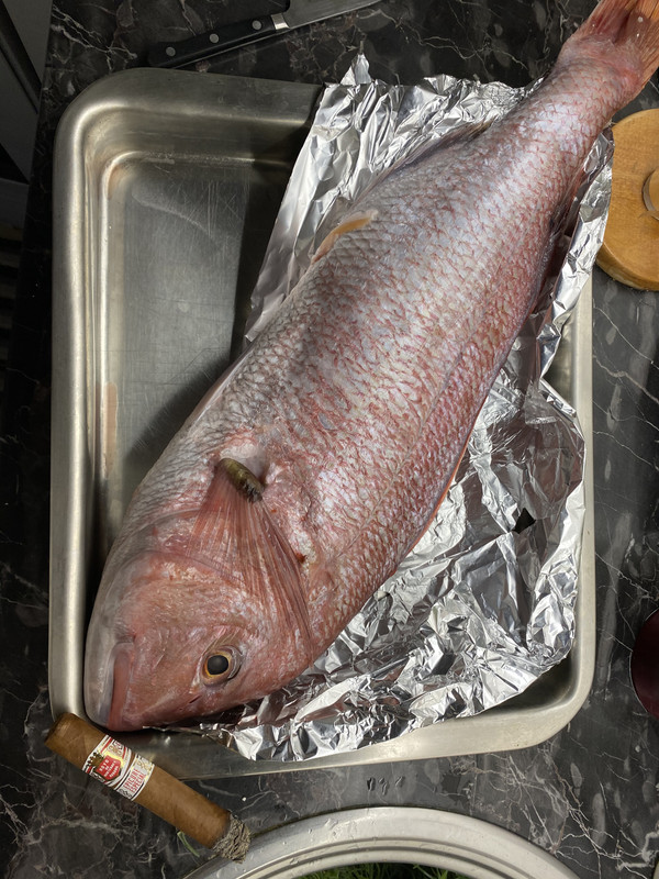 E57206F0-73D8-4923-89FC-80156D3B8D82