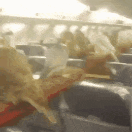 GIFs-3