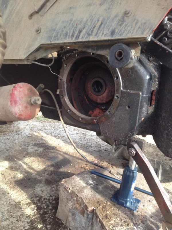 1377099_10200772500219440_784095495_n